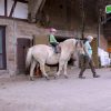 auf-dem-bauernhof-pferd-&-pony-nochmaaal-kleinkinder-kinderfilm