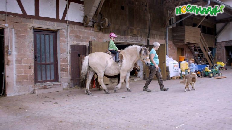 auf-dem-bauernhof-pferd-&-pony-nochmaaal-kleinkinder-kinderfilm